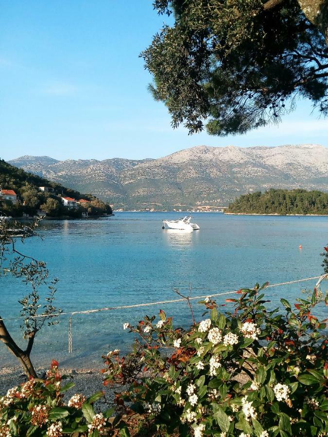 Apartments Milea Κόρτσουλα Εξωτερικό φωτογραφία